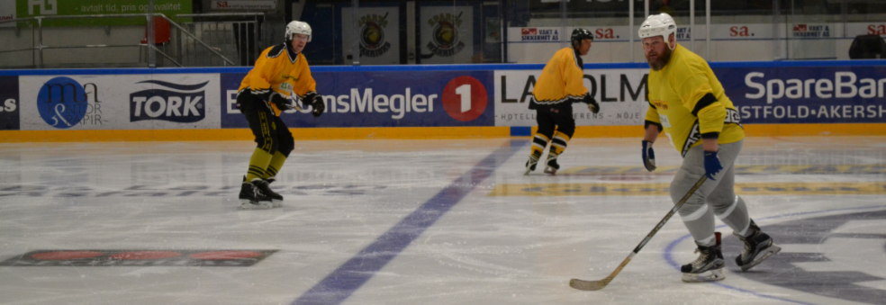 Rinkbandy: Østfoldserien